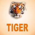 رسيفرات تايجر TIGER